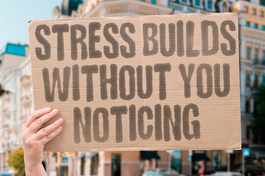 "Stress Builds Without You Noticing" Gradual stress accumulation occurs invisibly until reaching threshold that triggers physical breakdown. STRESS. ACCUMULATE. GRADUAL. THRESHOLD. TRIGGER.