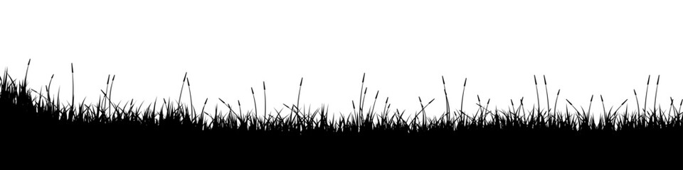 Naklejka premium Meadow silhouette with grass, plants on plain. Panoramic summer lawn landscape with herbs, various weeds. Herbal border, frame element. Black horizontal banners. Vector illustration