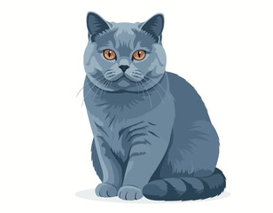 Fototapeta premium An illustration of a grey British Shorthair cat with amber eyes sitting calmly on a white background, showcasing its dense fur and round face. Cute cat vector illustration.