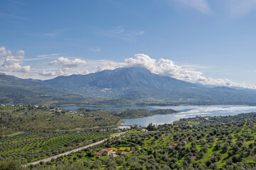 Fototapeta premium Felder mit Olivenbäumen, Andalusien