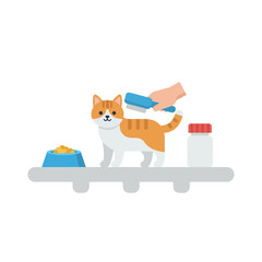 Fototapeta premium A ginger and white cat is groomed with a brush on a shelf alongside a food bowl and a bottle of vitamins in a flat vector illustration style.