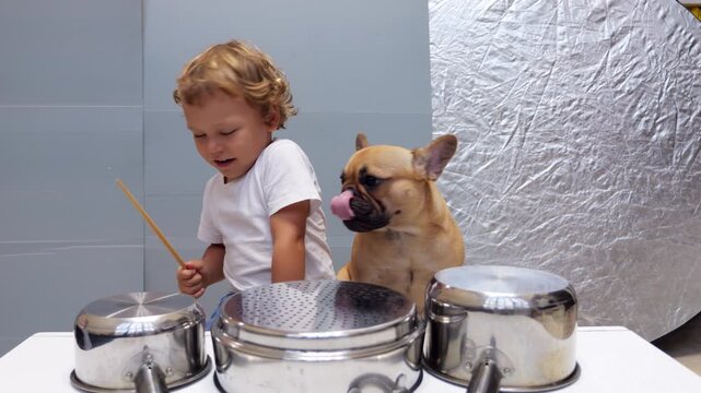 Cute little boy tries to play makeshift drum set made of metal kitchenware using wooden chopsticks as drumsticks. His French Bulldog companion sits beside him, slightly confused and turning head