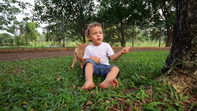 Adorable toddler sits thoughtfully on grass under tree, holding blade of grass in his hand. His panting young dog approaches from behind and sits beside him. Young boy speak deep in his own thoughts
