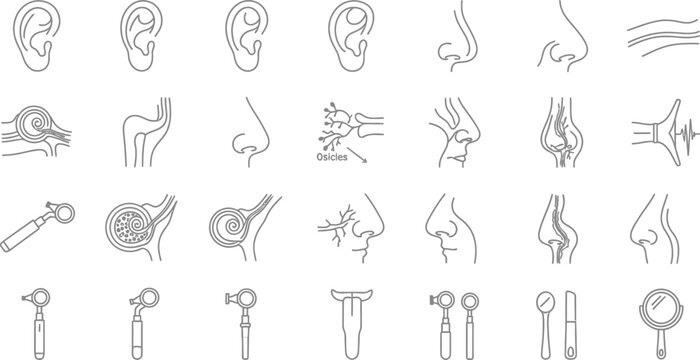 Set of Otolaryngology and ENT Medical Icons.
