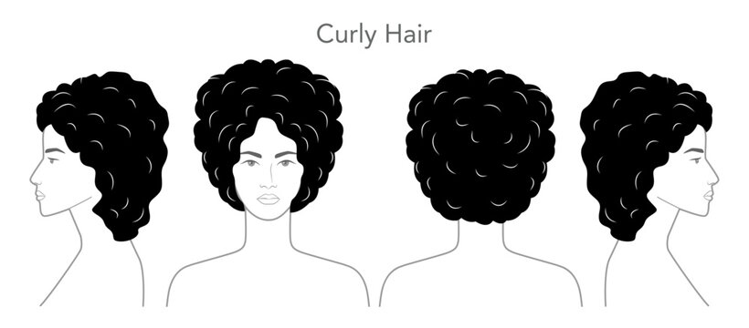 Curly Hair hairstyle black white vector front back profile views, soft curls volume texture for salon, hairdresser guide, beauty reference, fashion illustration, hairstyle catalog