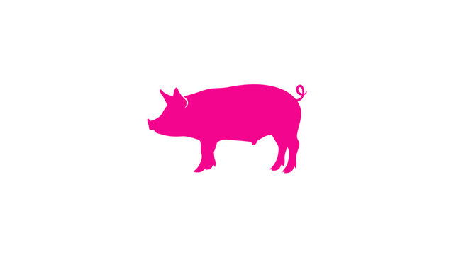 A vibrant pink silhouette of a pig standing on four legs, with a curled tail, against white