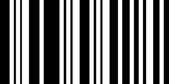Stripes Seamless Pattern With Black and White Color Design