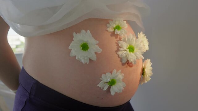 Pregnant belly viewed from slight side angle with multiple white daisy flowers resting on skin, hands visible from behind on both sides, bright indoor setting