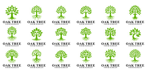 Fototapeta premium Collection of organic branding tree logos, and environmental identities.