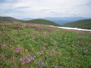 Obraz premium Mt.Kamihokametokku in summer