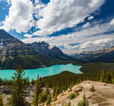 Peyto Lake, Banff National Park, Alberta, Canada