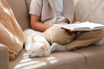 Obraz premium Cute little boy with white cat reading book on sofa at home, closeup