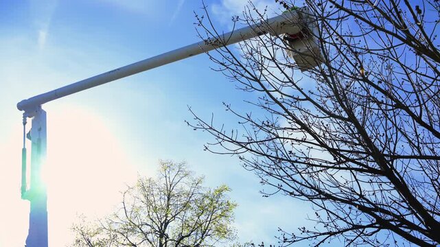 Tree trimming worker from bucket truck near roadside, maintenance and professional arborist service. Wide view