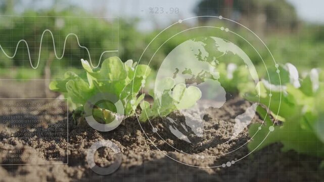 Globe fading in, HUD overlay expanding with rings, waveform left, bars right, showing seedling data