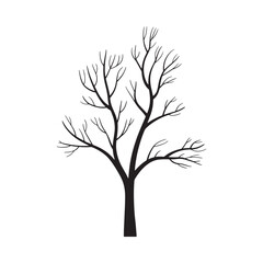 Obraz premium Bare tree silhouette against a white background