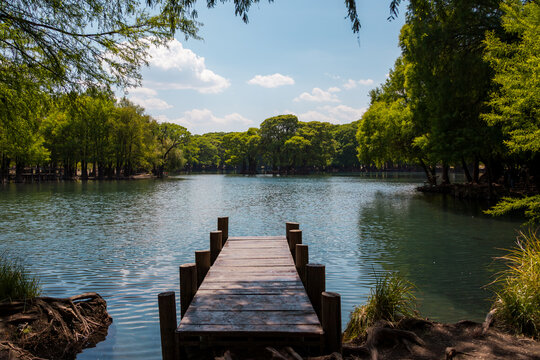 Mini muelle completo del lago de camecuero, para zambullirse en una tarde de verano