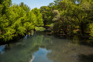 Fototapeta premium Hermoso paisaje del lago de camecuaro de la parte trasera del lago