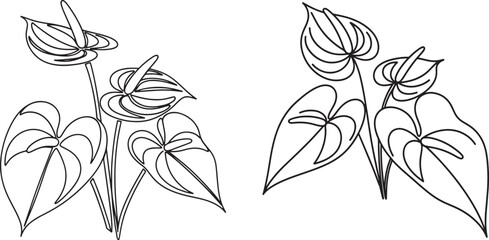 Fototapeta premium Anthurium flowers and leaves continuous line art