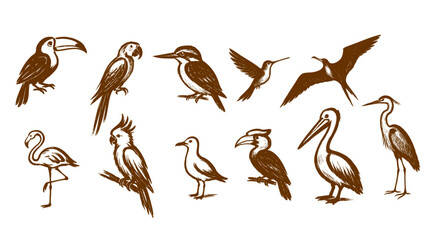 Summer Birds Hand Drawn Illustration Icon Vector Isolated © Az to Design