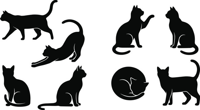 Cat silhouette collection with various poses including sitting stretching walking and playing isolated pet vector illustration set
