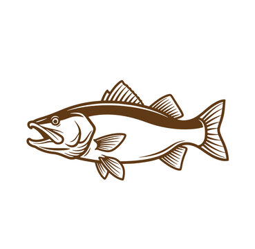 Brown fish with open mouth and fins isolated on transparent background