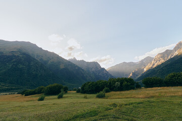 Fototapeta premium Serene mountain valley landscape featuring green meadow, scattered trees, and distant cliffs under a clear blue sky, suitable for nature and outdoor lifestyle imagery.