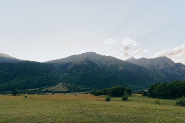Fototapeta premium Open field with distant mountains under a clear sky, capturing vast landscape, nature, and calm. Wide horizon, gentle light, and quiet atmosphere convey solitude and freedom.