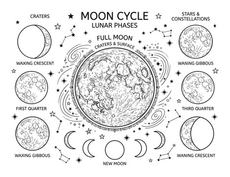 Moon cycle vector illustration with lunar phases stars and constellations around full moon surface.