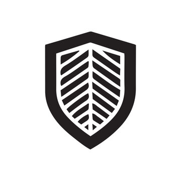 vector shield on white background