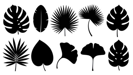 Collection of Diverse Tropical Plant Leaf Silhouettes. © Welas