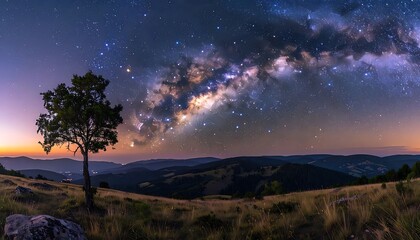 Fototapeta premium A lone tree under a starry night sky with the Milky Way (2)