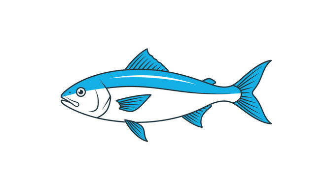 Blue fish with white belly swimming 1.