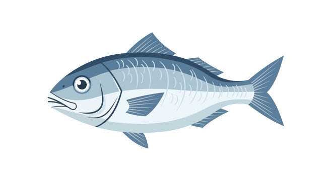 Blue fish with white belly swimming.
