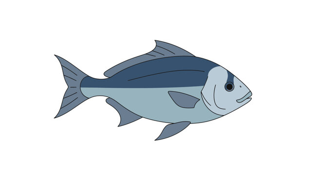 Fish Swimming in the Ocean Water.