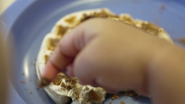 A round waffle on a blue plate covered with chocolate powder while a child&rsquo;s hand picks and tastes only the topping without eating the waffle. Concept of picky eating