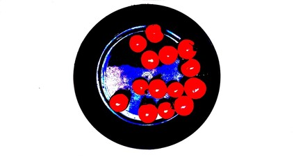 Cherry tomatoes arranged on a black plate with bold digital effect, high contrast colors and artistic lighting. Creative food concept blending real photography and modern visual editing.
