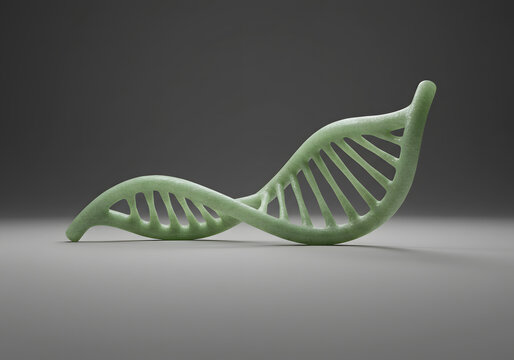 3 d dna model illustration