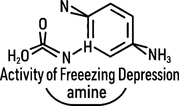 Chemical Structure Diagram of Amine Compound Illustration