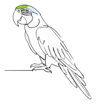 Minimalist blue macaw parrot line art icon. Generative AI