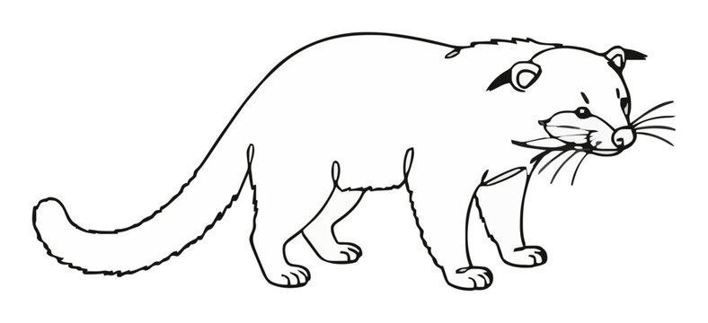 Binturong bearcat line art vector icon isolated. Generative AI