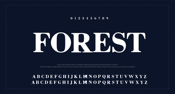 Luxury alphabet letters font. Typography elegant wedding classic lettering serif fonts decorative vintage retro concept. vector illustration 