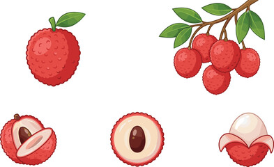 Fototapeta premium Lychee Fruit Vector Illustration Set with Whole, Peeled, Sliced and Branch with Leaves Fresh Tropical Food Collection Isolated on White Background