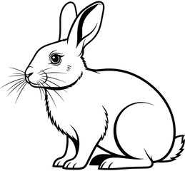 Obraz premium Rabbit line art illustration, cute bunny outline for coloring book, simple black and white animal vector, easter bunny drawing background. 