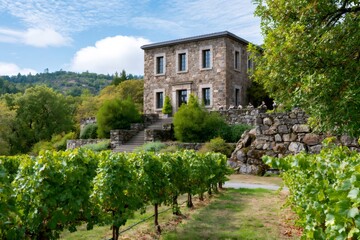 Naklejka premium Stone farmhouse overlooking a thriving vineyard under blue sky