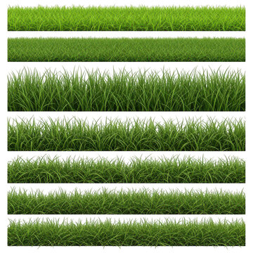 Set of green grass borders and turf strips isolated on a transparent background