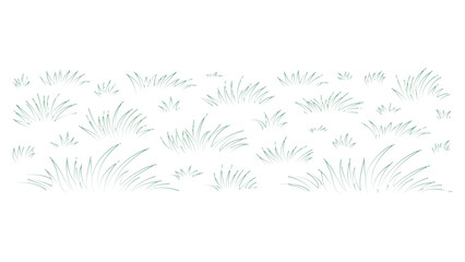 Collection of simple green grass illustrations isolated on clear transparent background. © Sara Studio