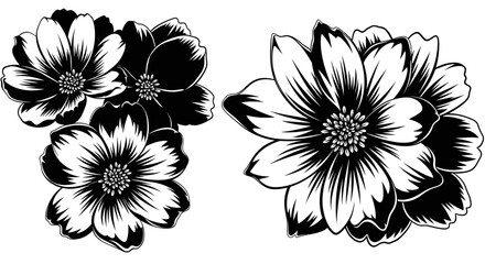 Fototapeta premium Black and White Floral Illustrations: Delicate Flower Arrangements