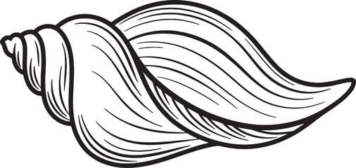 Obraz premium Whelk seashell linear vector illustration for beach theme design with elegant swirling black contours.
