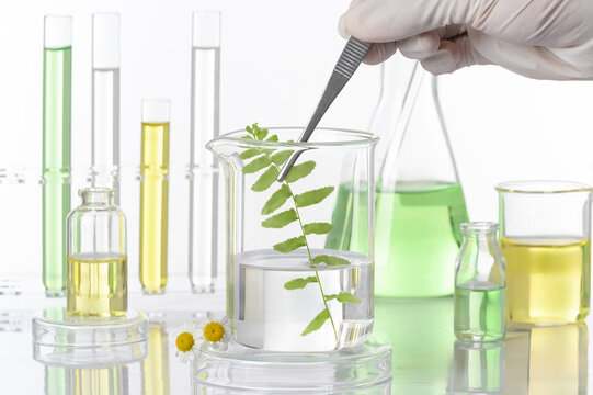 Botanical extract research in a clean cosmetic laboratory, showcasing natural formulation and herbal science process.