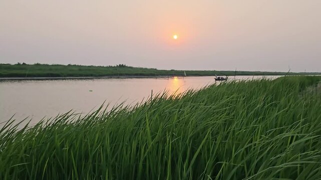 Beautiful sunset over Padma river with traditional wooden boat moving in water and green grass in foreground.